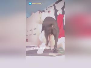 Homemade Video: Uncontrollable Canine Desire and Female Submission