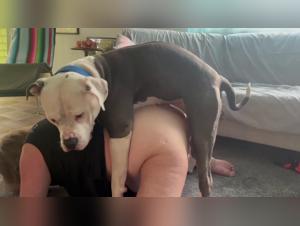 BBW Grannies et le Plaisir Obscène du Dog Mounting - Vidéos Exclusives XXX