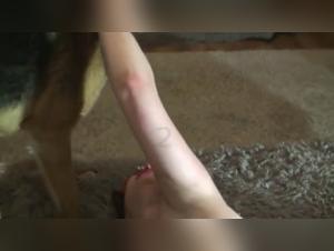 Exploring the Wild Drive: Hardcore Animal Fuck