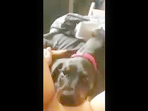 Extreme sex with an animal