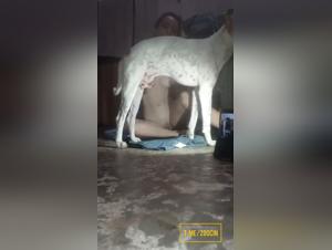 Deep Throat, Sucking, and Cum: A Feast of Canine Debauchery