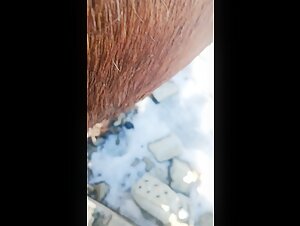 Bestiality sex video: Woman fucks a mare and cums inside
