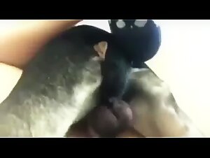 Intense Animal Sex