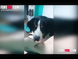 Extreme practices in a shocking video