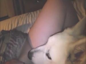 Explore the Limits: Intimate Encounters Between Women and Dogs