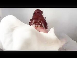Extremes Hundesexvideo