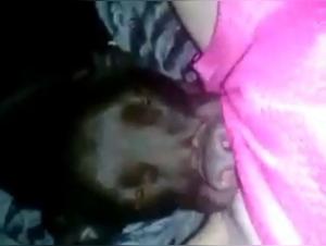 Brutal Women, Pest Dogs: Forbidden Delights