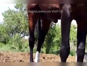 Hard ass and intense pleasure: the ultimate experience