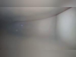 Teen fucks her dog: banned pornographic video