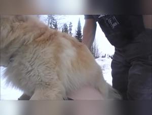 Wild obsession: an unimaginable bestial bond