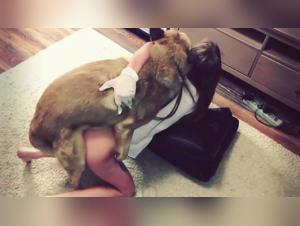 prohibited act, wild and insatiable k9 desire