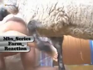 bestialité exacerbée, pulsions animales débridées, orgies fébriles