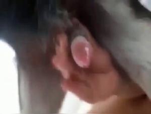 Discover the dark side of animal lust in this wild ritual.