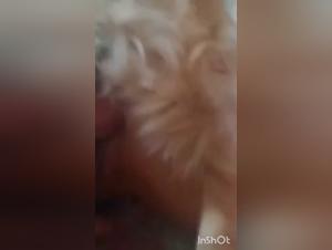 Investigue los deseos ocultos: xxxxxxxxxxx de animales