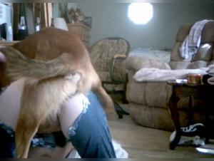 Teil 1: Eine ernsthafte Erkundung der Zoofilia