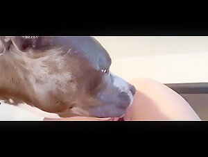 Discover the Limits of Bestiality in this Hardcore Video
