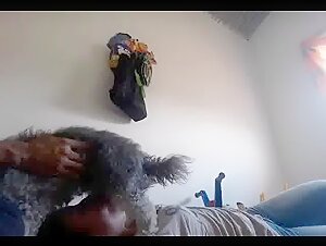 Extreme bestiality video: submission and pleasure