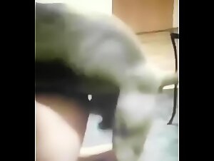 Un amor loco por el perro, una pasion sexual extrema