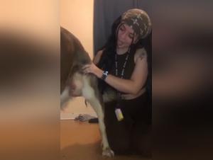 sluts, dogs and unbridled impulses