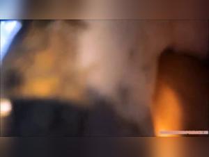 Bestiality Without Limits: Explore Greta's Insatiable Desires