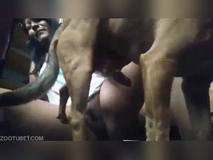 Blasen Sie Ihre obszonsten Fantasien mit Bestial -Videos