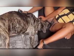 Hardcore Animal Exploitation: Extreme Canine Sex