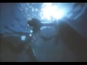 Zoophilia Video: Sex with a Dolphin