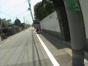 Sordid delights: The woman and her animal in a wild orgy