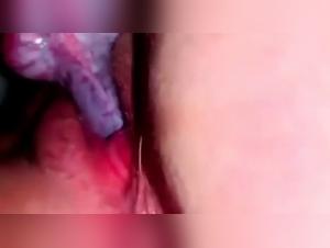 Raw Sex Experiences with Dog: Camila_2503 in Action