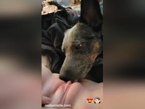 passion brute : chien et jeune putain