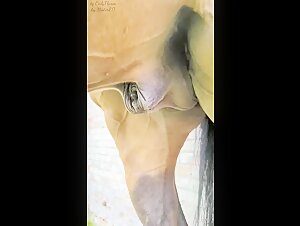 Discover the extreme with our horse sex video