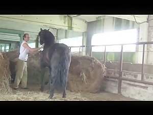 Experience the Thrill of Bestiality with Team Russia's Masha