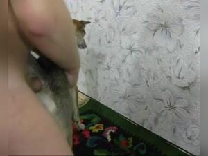 Zoofilia sin limites: Disfrutes prohibidos