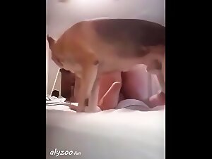 Animal Sex: The Slut Gives Herself Up to Canine Delirium