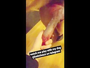Hardcore and Extreme Sex Scenes with a Dog