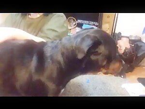 Extreme Dog Sex Video: Watch This BBW in Action