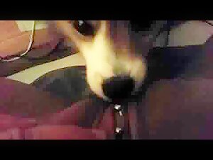 Discover the Pleasures of Bestiality with this Extreme Sex Video