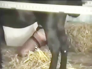 Zoophilia video with a horse