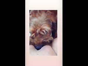 Sex video with a dog: an intense and exciting experience