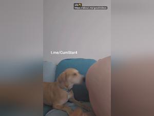 A Game of Canine Domination