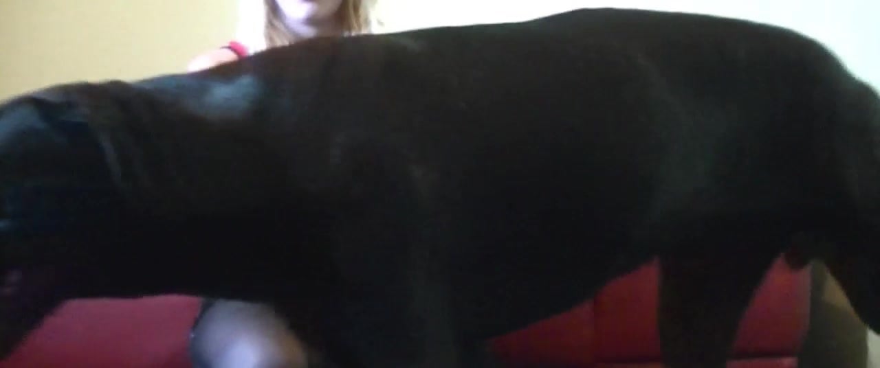 Black stockings and brutal animal sex