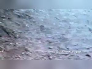 Cross Borders: Discover Insatiable Animal Desire