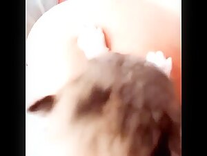 Dog Sex Video: An Intense and Unique Relationship