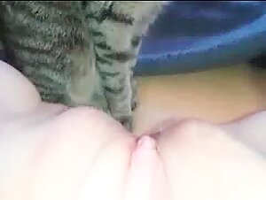 Sex Scene with Cat - Extreme Bestiality