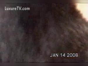 Broken taboos: Milly's bestial obsession reaches its climax.