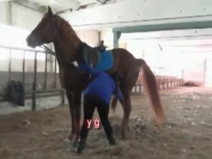 Go beyond the limits: Immersion in the Dark World of Olga and Her Dog