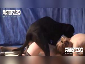 Into Feline Hell: Two Putas and their Canine Obsession