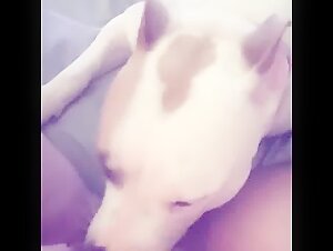 Discover the World of Bestiality and Zoophilia