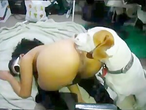Vidéo de sexe avec chien : une expérience extrême