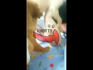 Bestiality with sexy slutty woman to fuck with a dog on the boards